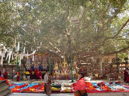 Mahabodhi tree and prayer flags at Bodh Gaya