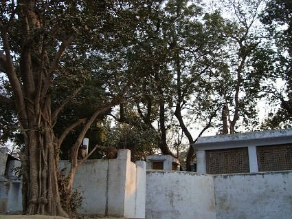 Tatiya Sthan  Sri Mohini Bihariji's temple