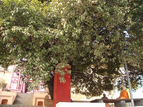 Niranjani akhara panchayat, Mahakumbh mela 2010, Haridwar, India