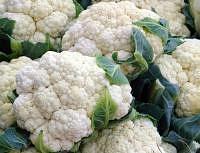 cauliflower is a good pitta pacifying food