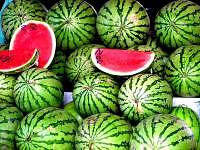 watermelon is a pitta pacifying food
